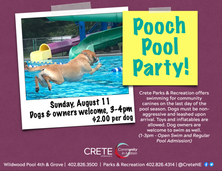 pooch pool party