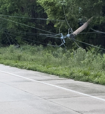 utility poles and lines damaged